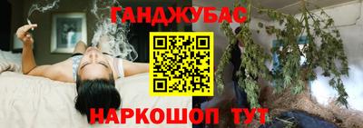 сатива Бузулук