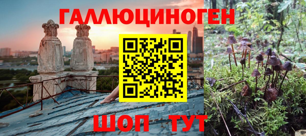 Псилоцибиновые грибы Cubensis  Вход с VPN  Сосновоборск 